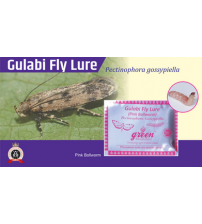 Gulabi Fly Lure / Pectinophora Gossypiella Pheromone Lure